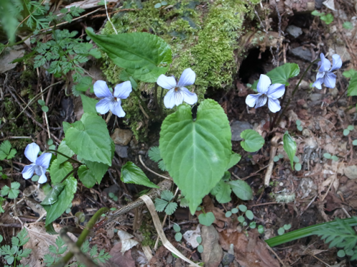 e0271890_00483122.png