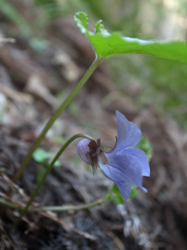 e0271890_00520467.png