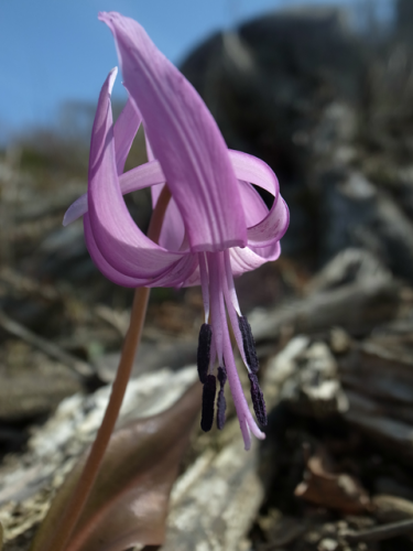 e0271890_01501455.png