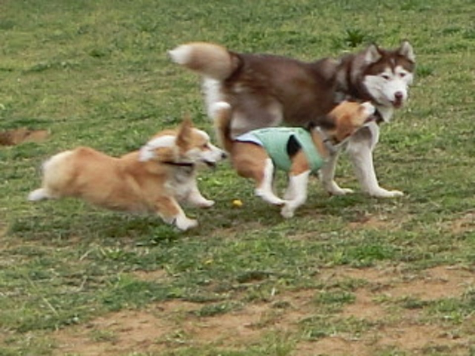 a0319693_8495623.jpg