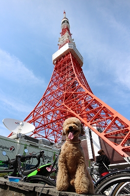 e0227996_0134861.jpg
