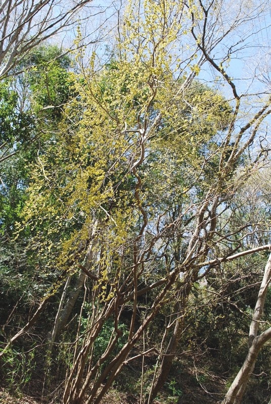 e0025300_22255076.jpg