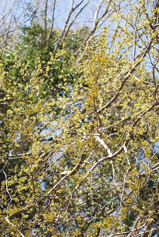 e0025300_22273428.jpg