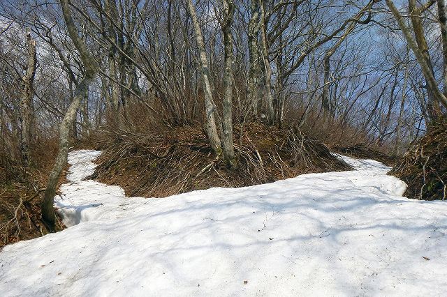 e0137200_2115084.jpg