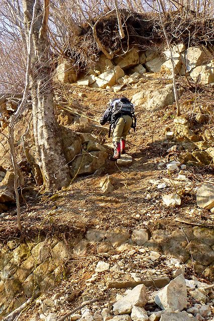 e0137200_21263791.jpg