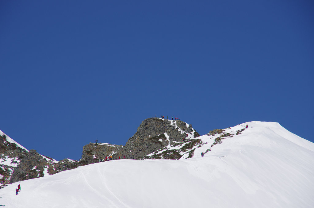 a0158802_21502560.jpg
