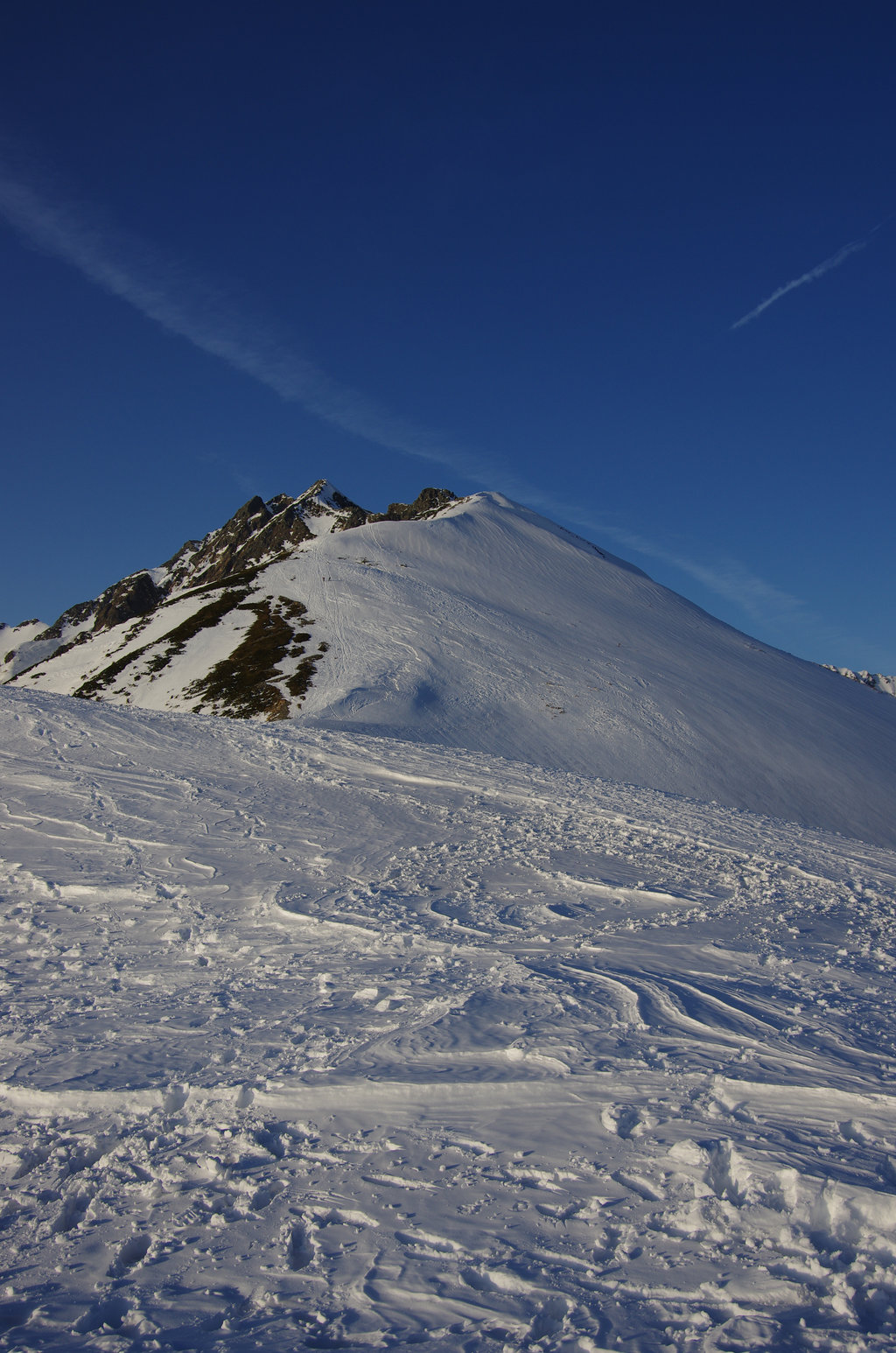 a0158802_2253741.jpg