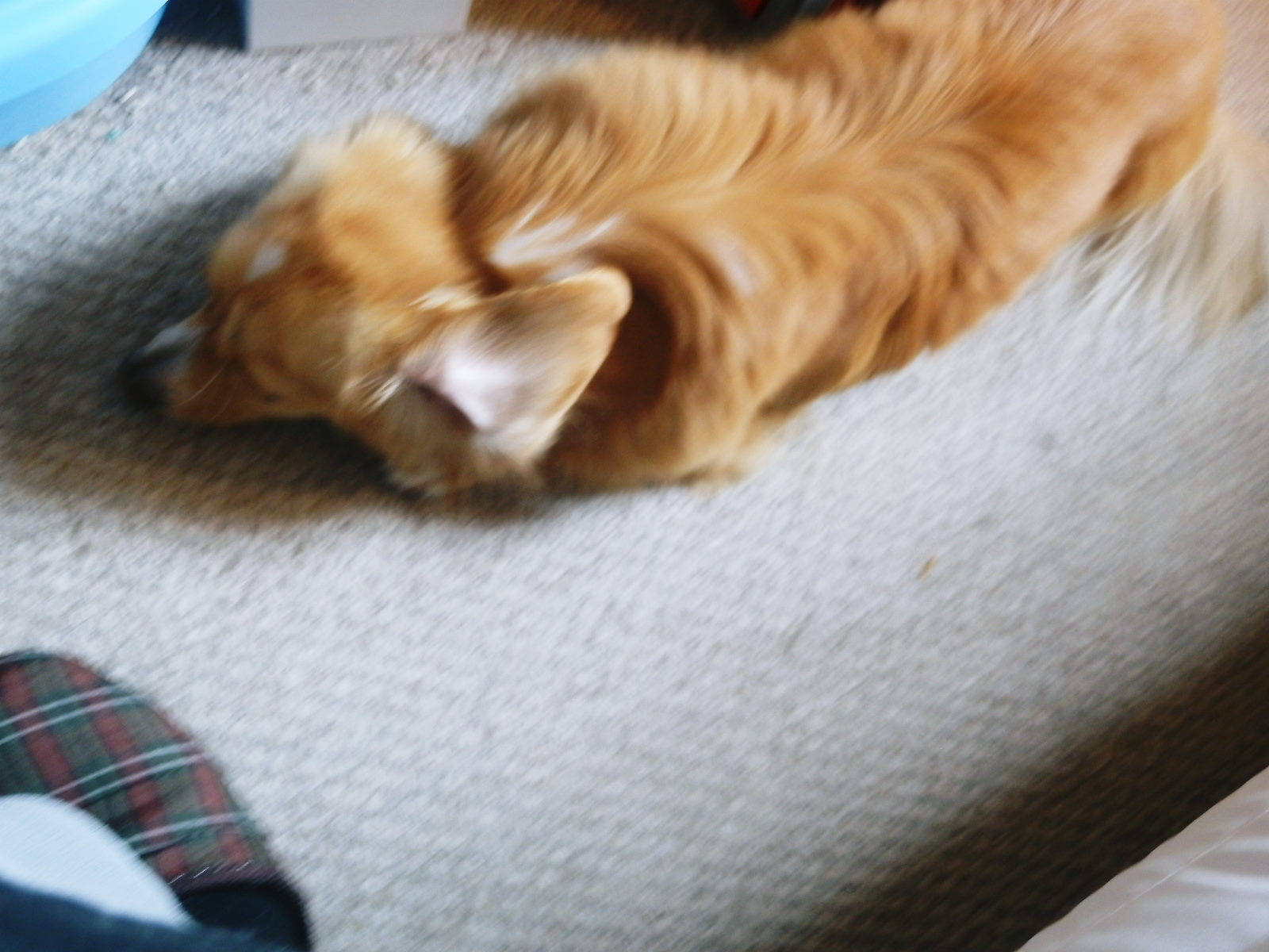 c0118715_1602187.jpg