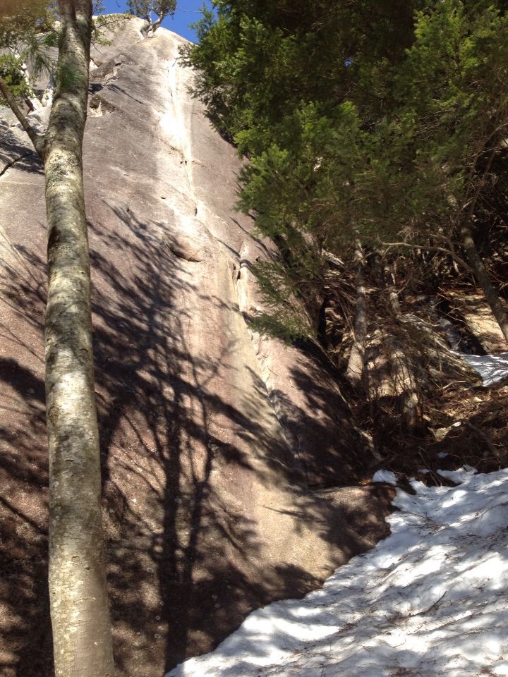c0210618_2330143.jpg