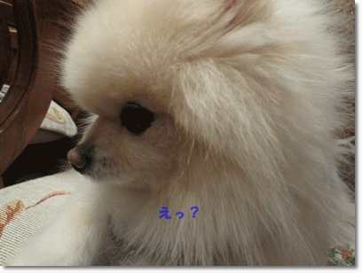 b0167519_21394171.gif