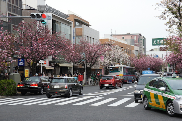 b0026323_1325773.jpg