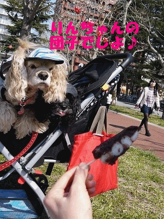 f0326925_22072460.gif