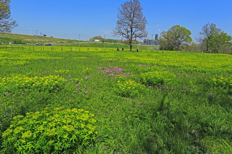c0104227_21511512.jpg