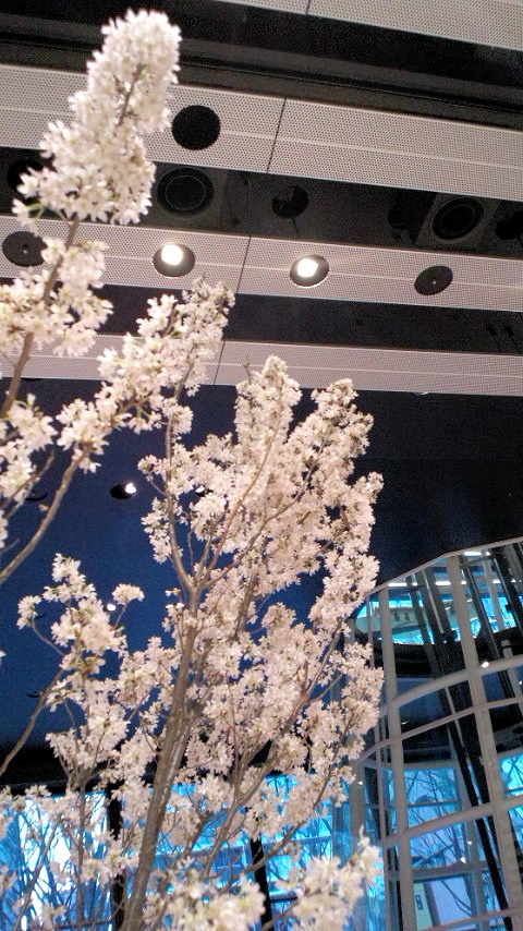 a0248728_21515464.jpg