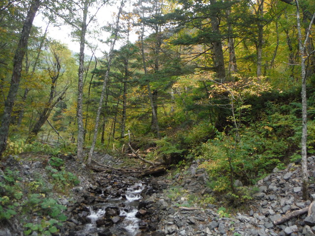 b0136931_14314249.jpg