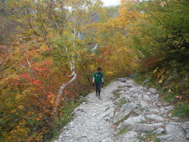 b0136931_14463560.jpg