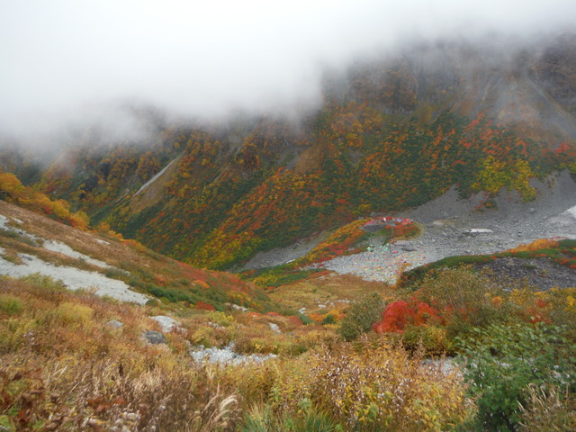 b0136931_152246.jpg