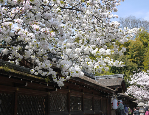 b0035734_18101769.jpg