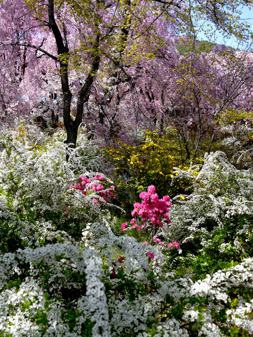 b0035734_18151419.jpg