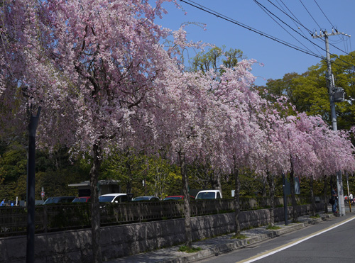 b0035734_18481154.jpg