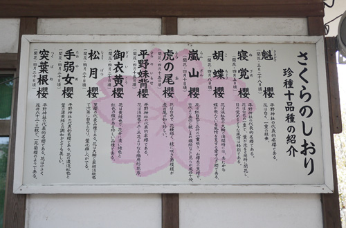 b0035734_189423.jpg