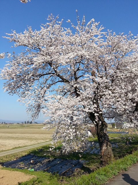 f0131535_06332528.jpg