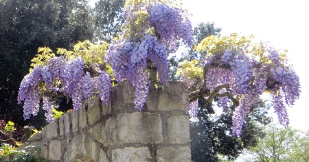 f0234936_6472989.jpg