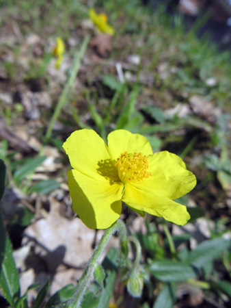 f0234936_648666.jpg