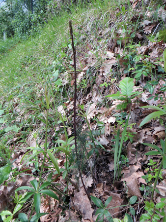 f0234936_6502590.jpg