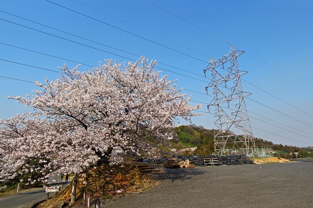 a0242438_1940767.jpg