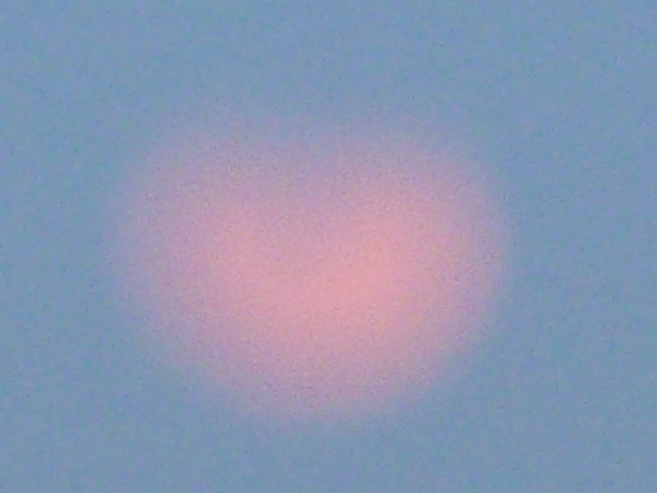 d0288144_20231283.jpg
