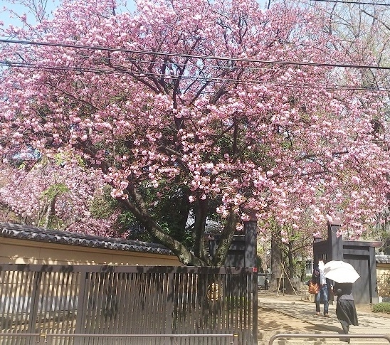 a0122148_17352797.jpg