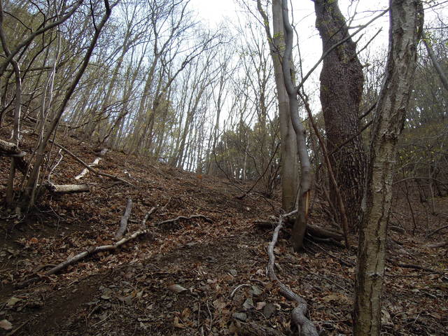 e0329049_13564853.jpg