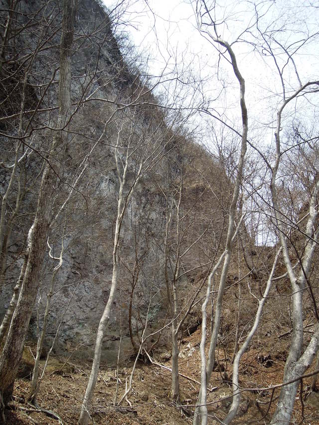 e0329049_1474982.jpg