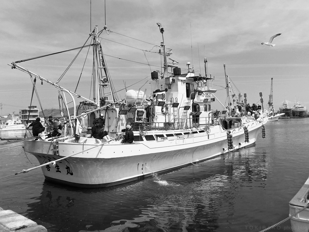d0100156_22573896.jpg
