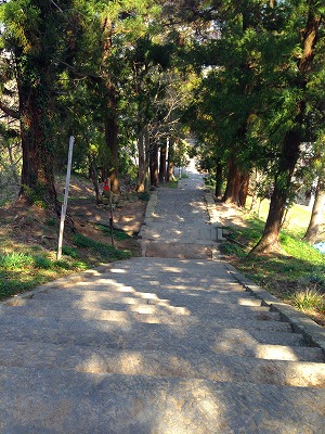e0001860_19282040.jpg
