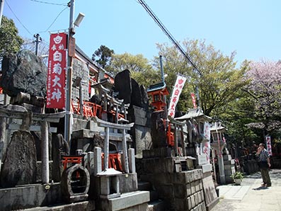 b0059664_9283098.jpg