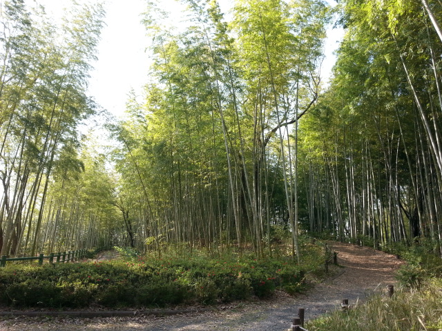 f0100871_21204989.jpg