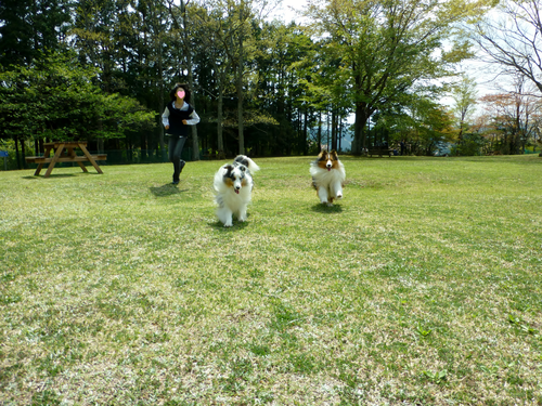 a0157174_18545581.png