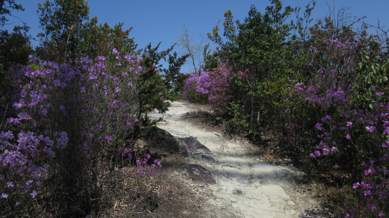 e0024081_20552638.jpg