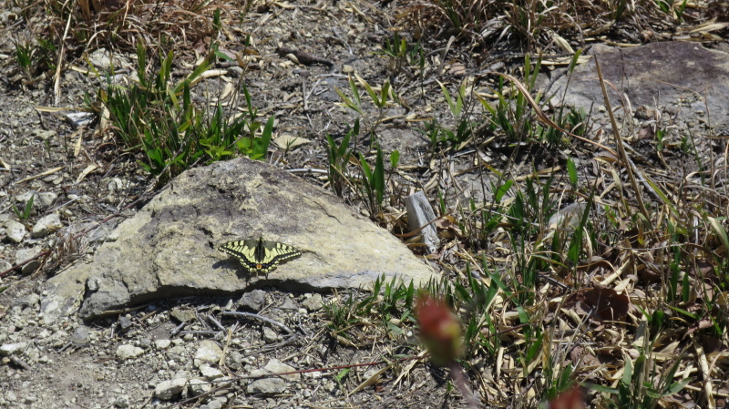 e0024081_20561208.jpg