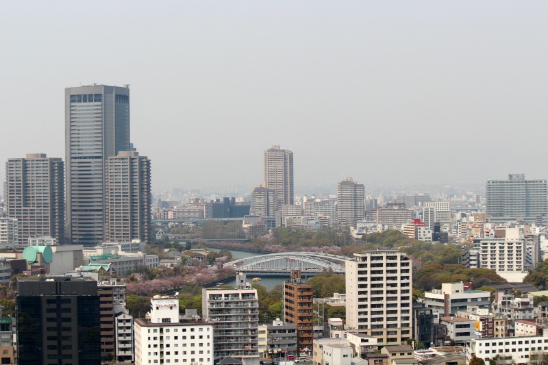 a0127090_20431497.jpg