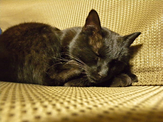 a0199297_2063934.jpg
