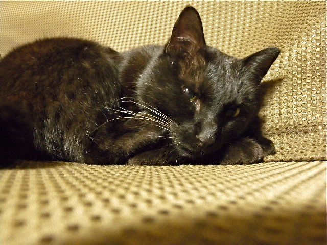 a0199297_2072484.jpg