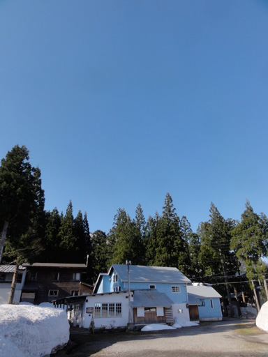 a0061599_740296.jpg