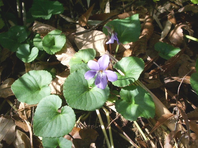 e0025300_17474334.jpg