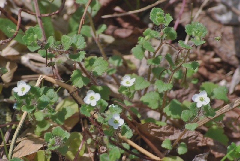 e0025300_17514577.jpg