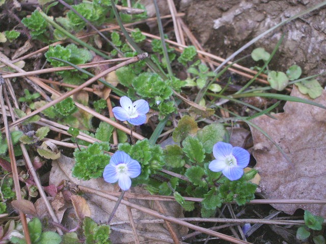 e0025300_1804622.jpg
