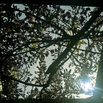 a0201204_13401783.jpg