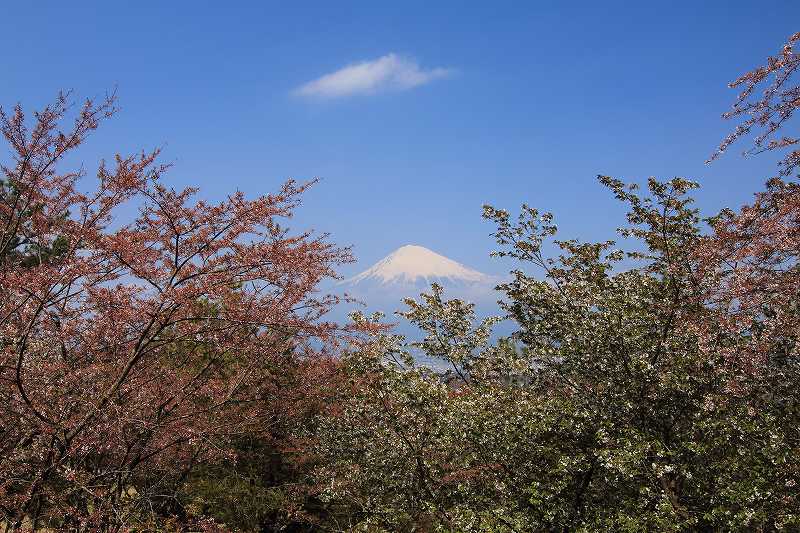 a0188405_2255092.jpg